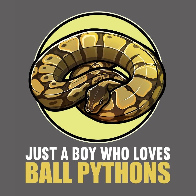 Ball Python King Python King Python