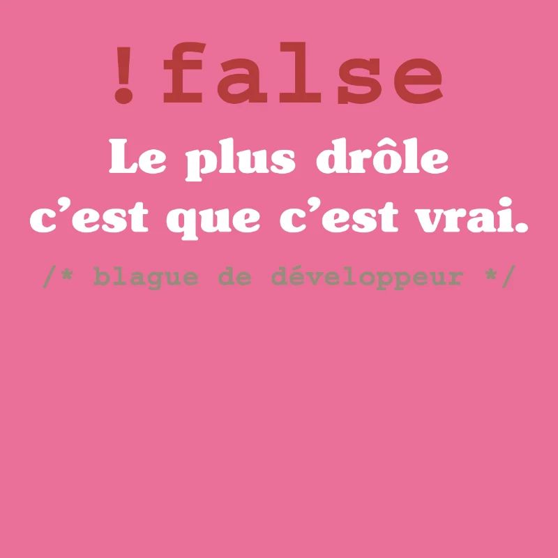 Blague programmeur développeur codeur informatique