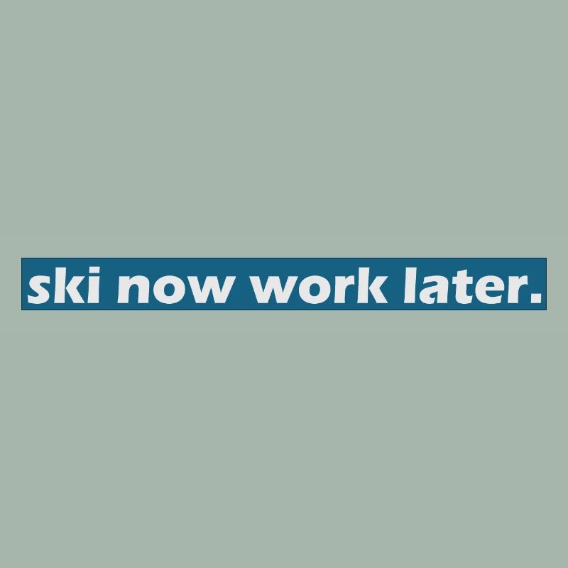 ski now