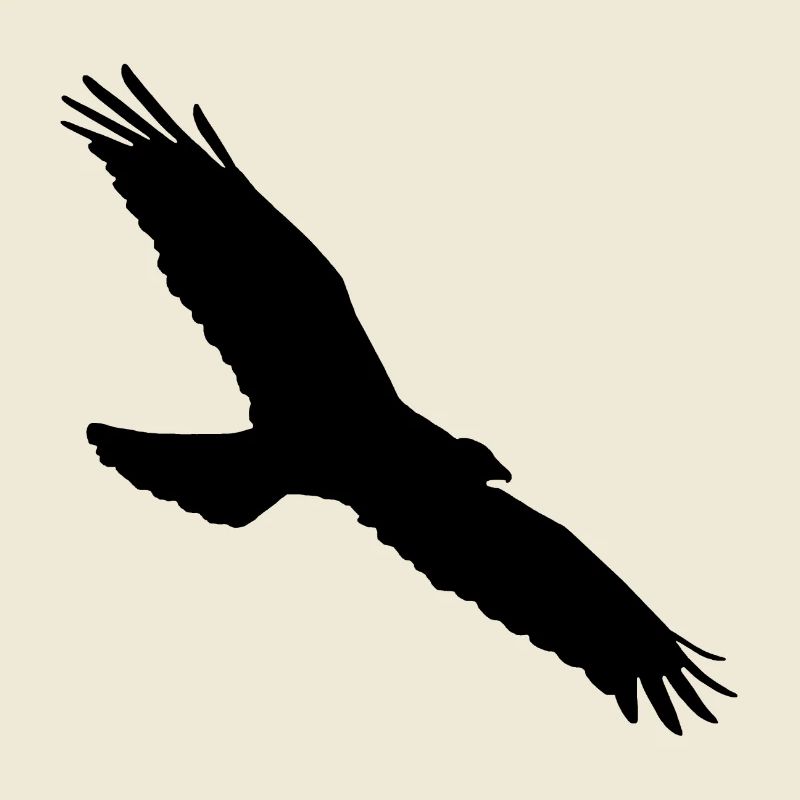 buzzard