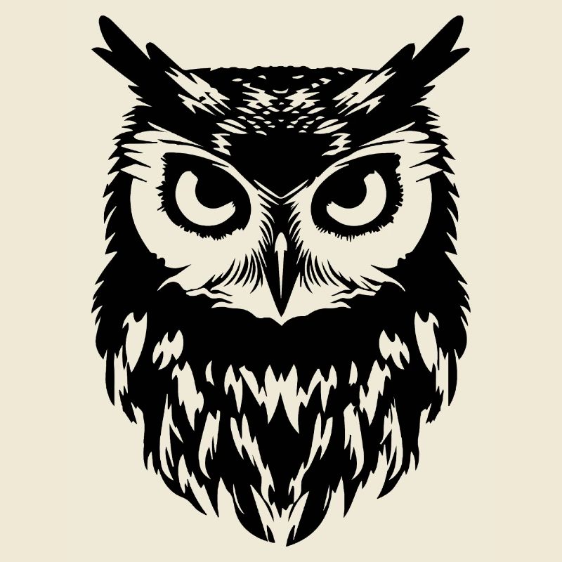 Eule Eulen Vogel Vögel