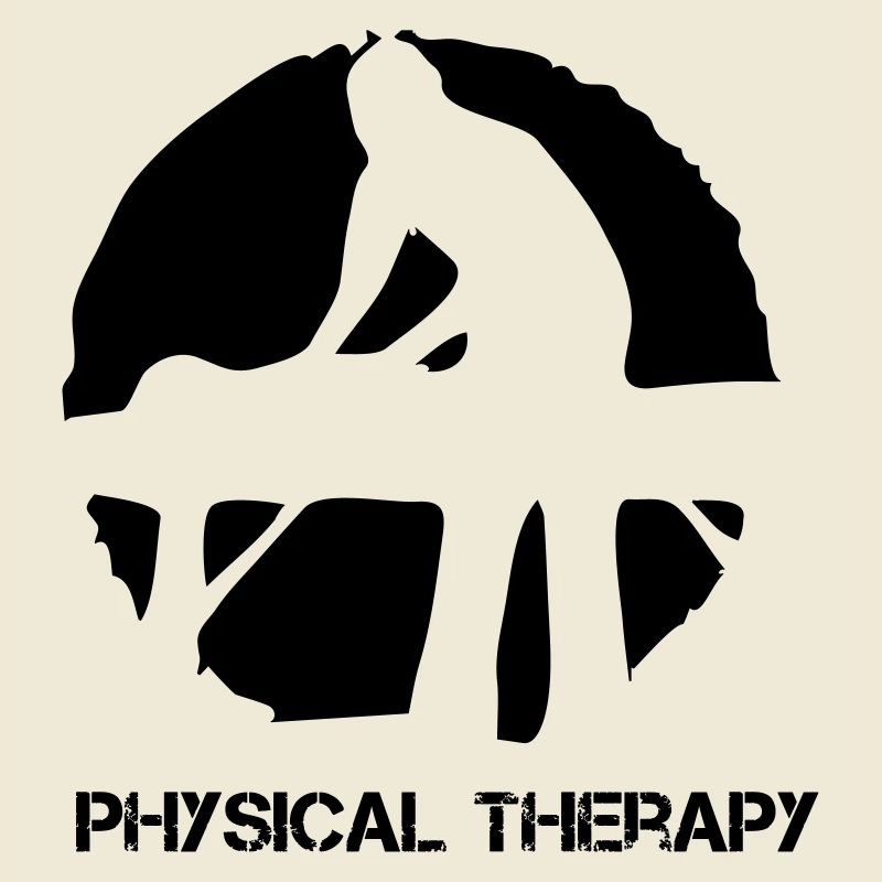 Physical Therapy / Physiotherapy