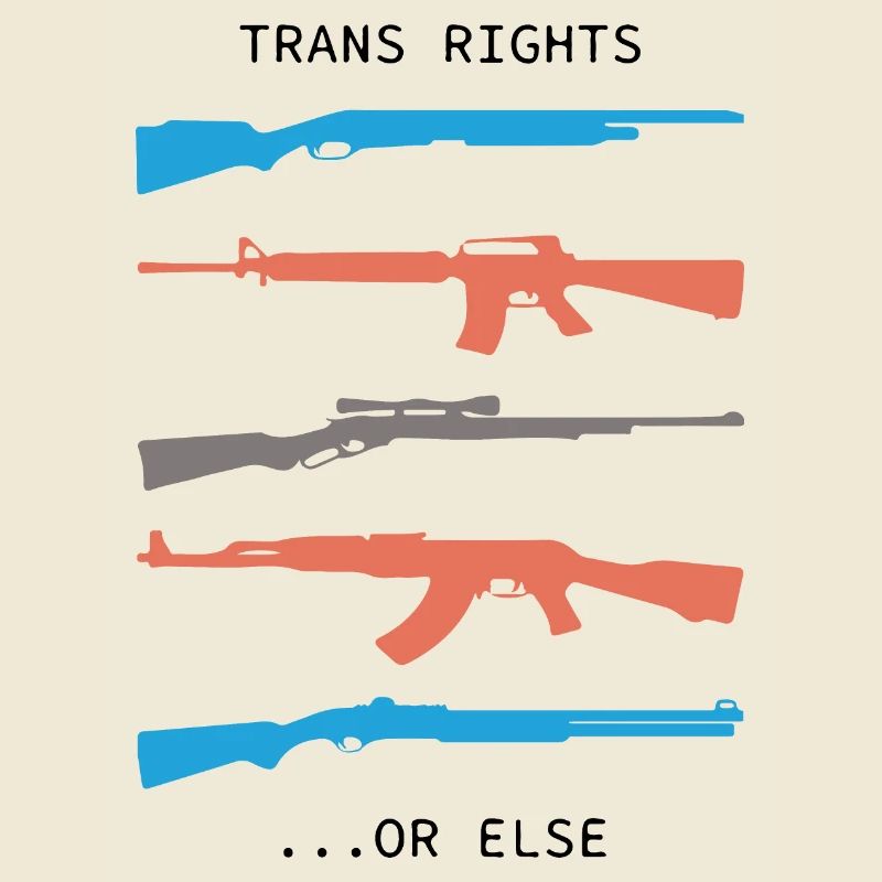 TRANS RIGHTS OR ELSE meaning trend