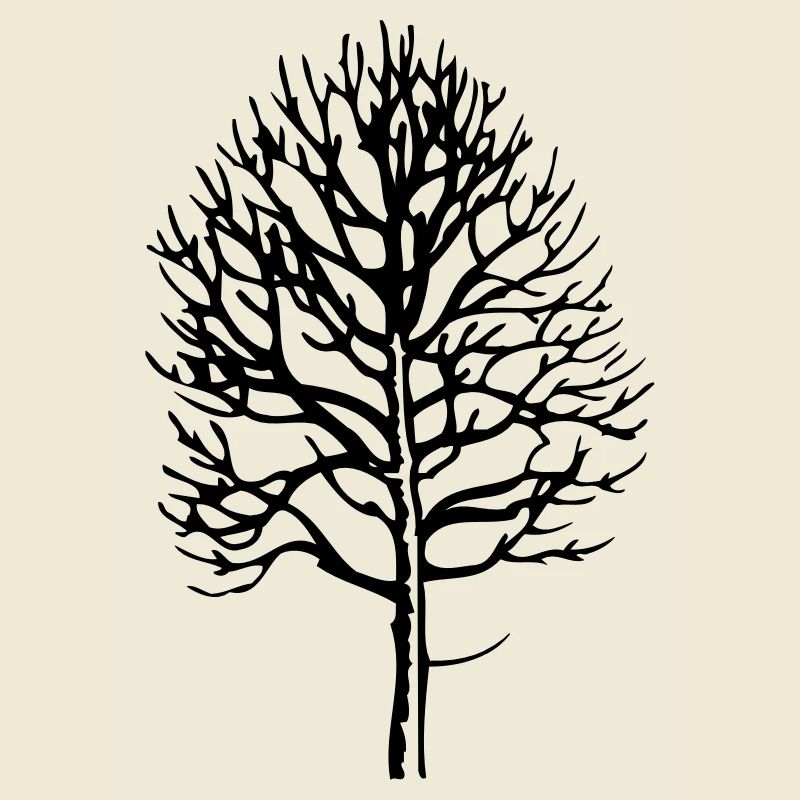 Baum