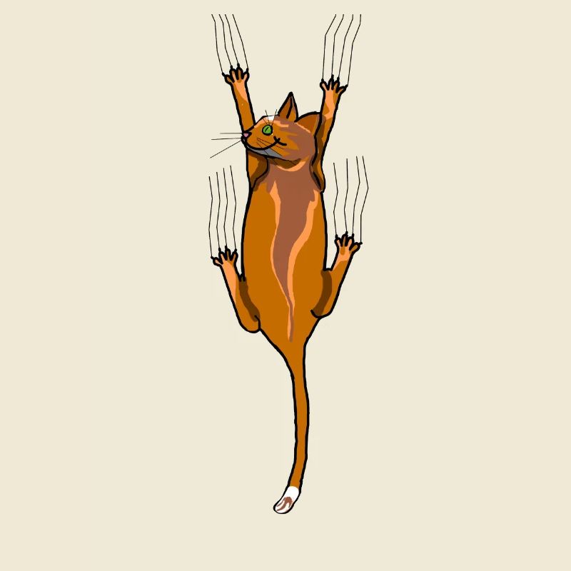 chat