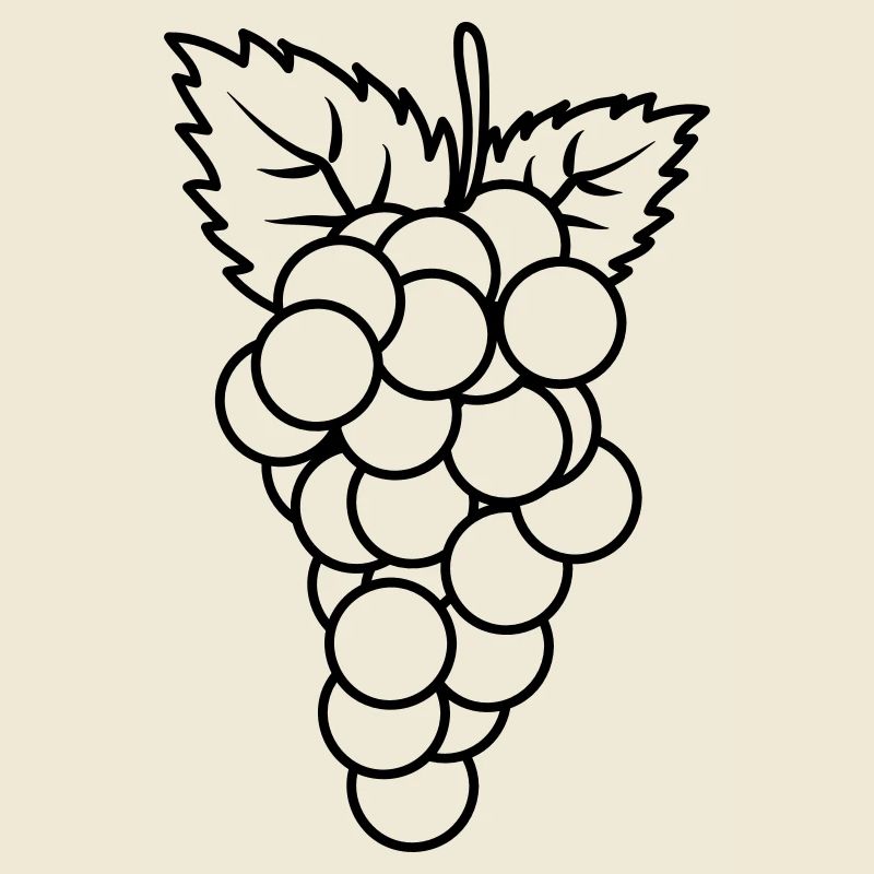 Grapes fruit fruit