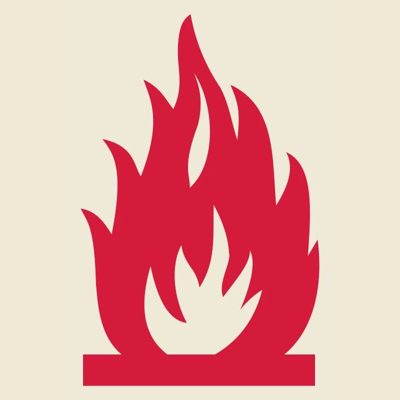 Fire Flame