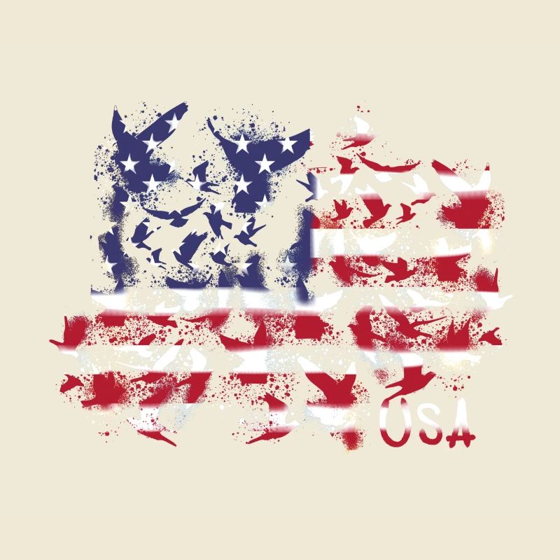 usa,flagge,tauben,friede,amerika