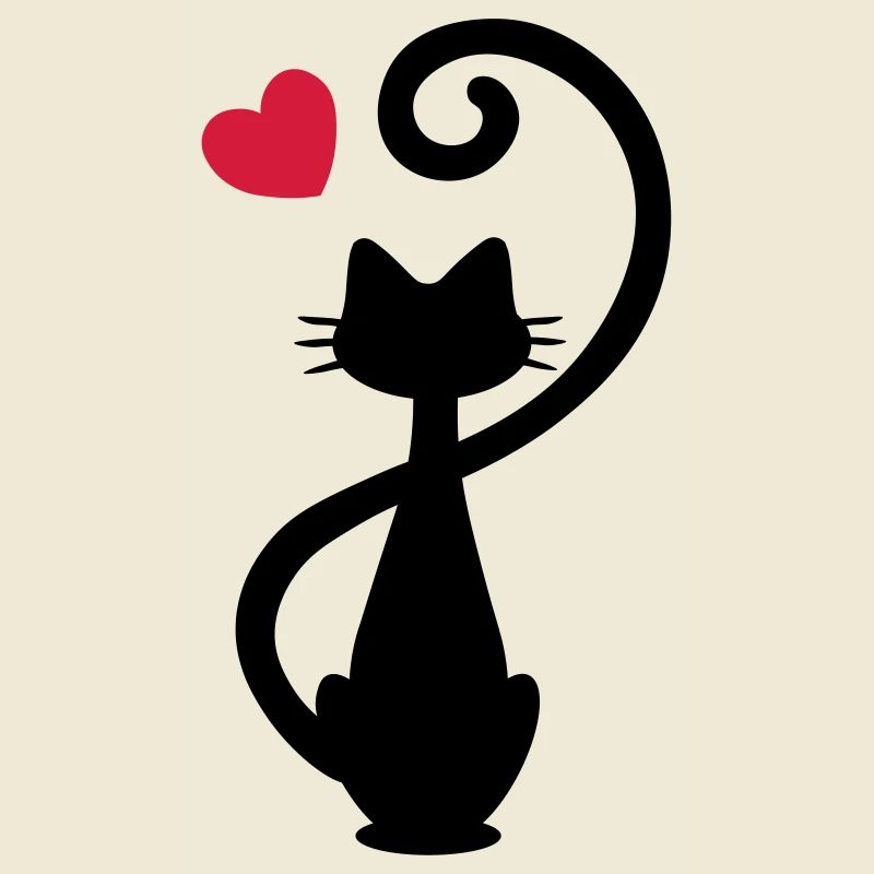 Chat - chat dame - chat - chat - minou