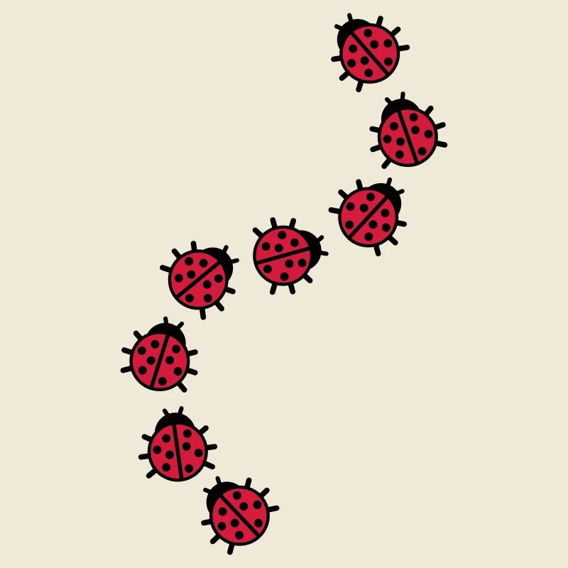 Ladybug