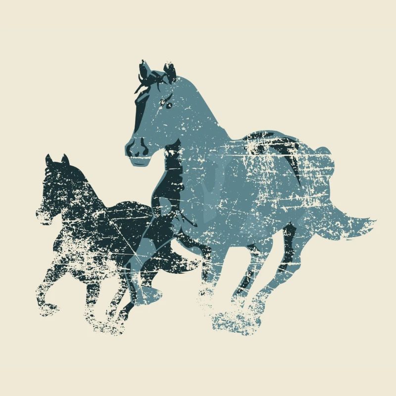 Pferde Horses