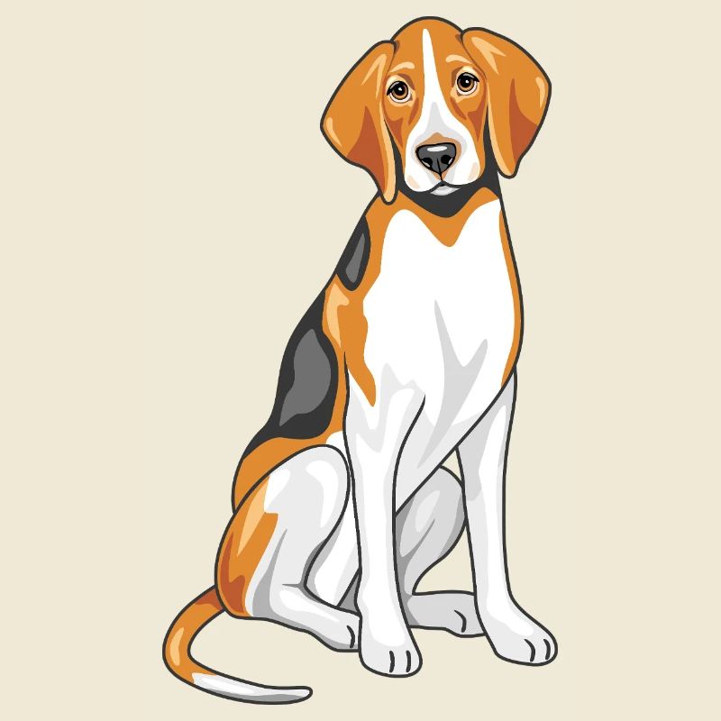Sitting foxhound