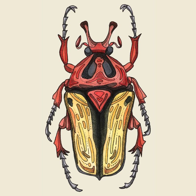 Big Beetle Stag - cerf géant