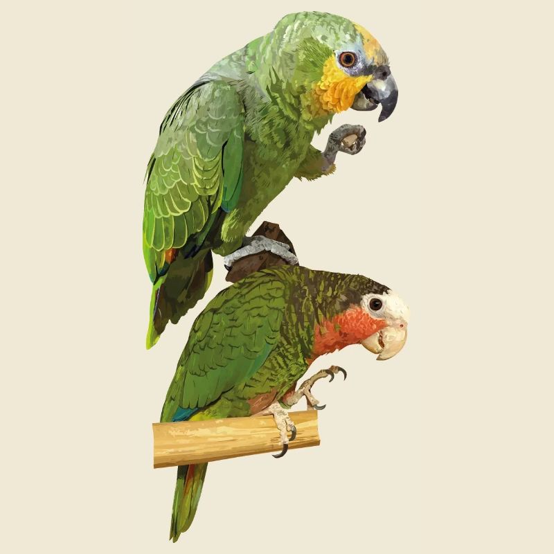 Perroquets