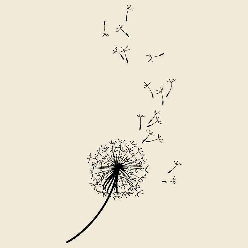 PUSTEBLUME, Pusteblume, Löwenzahn, Wind