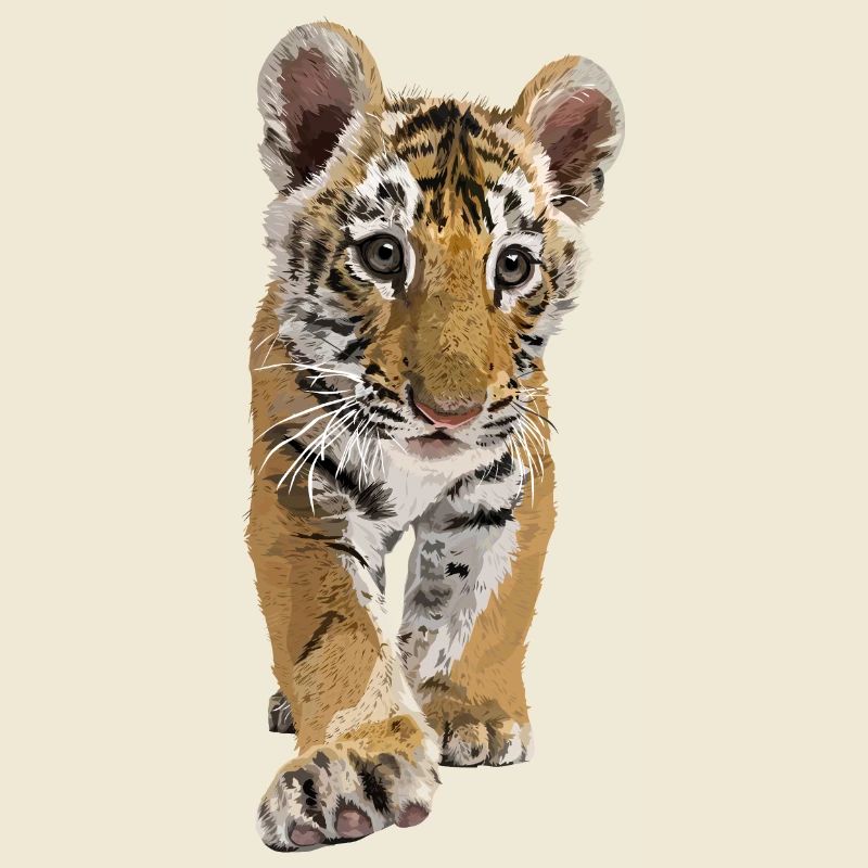 Bengal tiger
