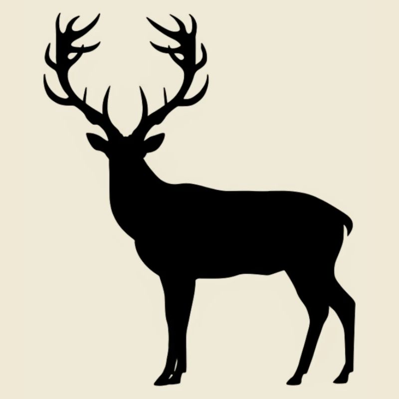 Black Deer