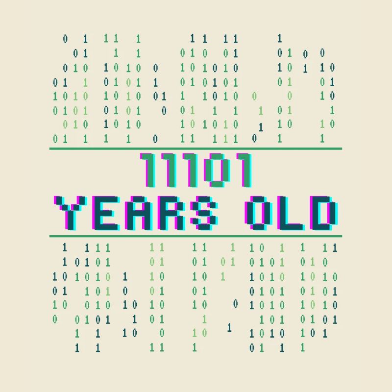 29. Geburtstag 29 Jahre alt Binärcode Coder