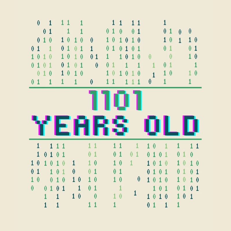 13. Geburtstag 13 Jahre alt Binärcode Coder