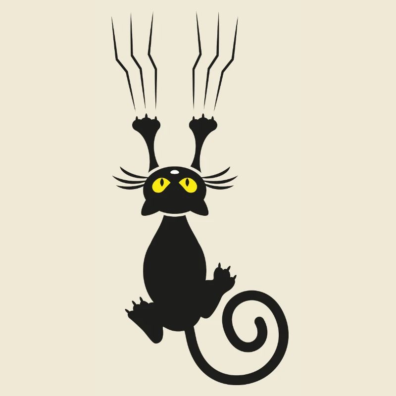 Chat avec des griffes