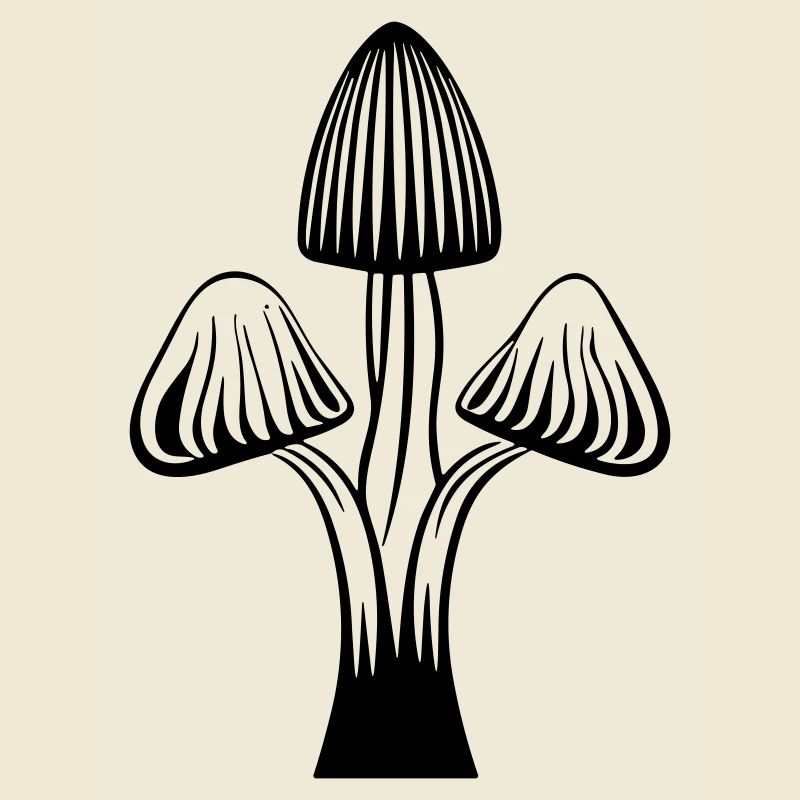 Pilz