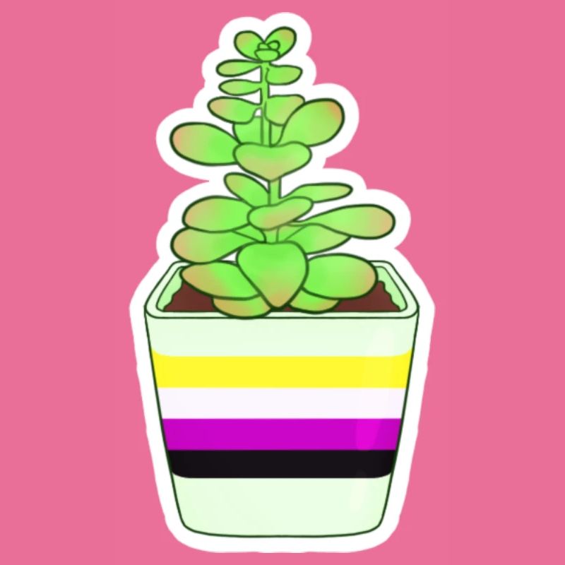 Non Binary Succulent