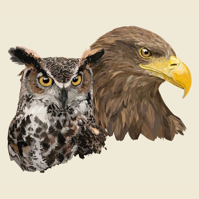Pigargo und Eule