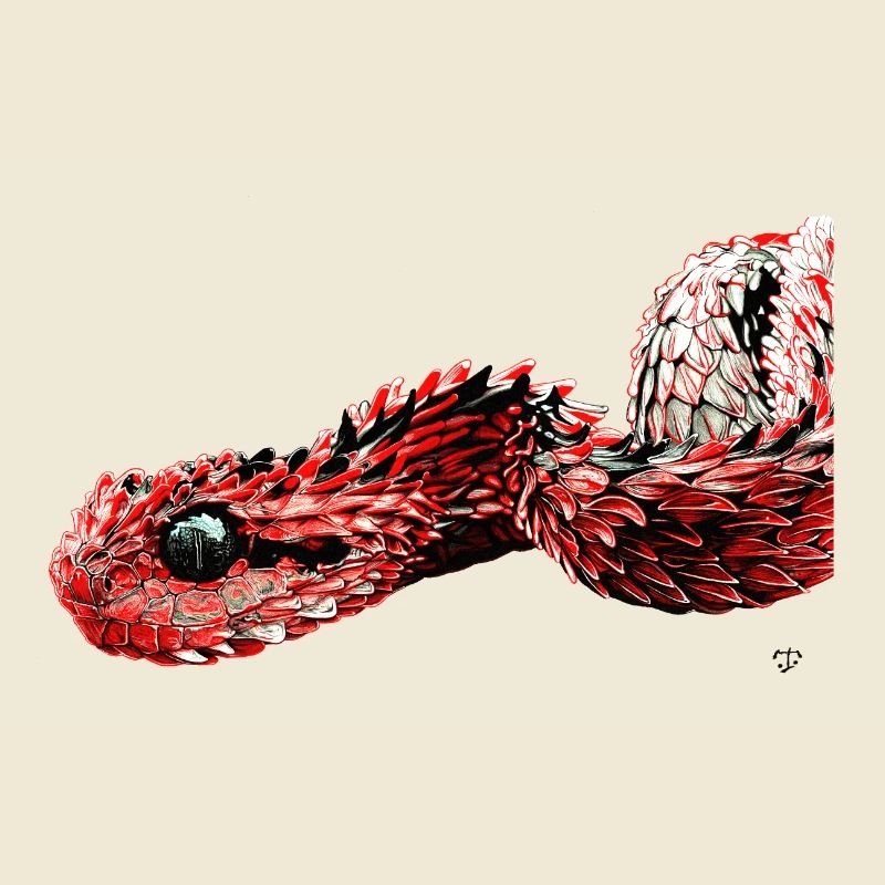 Caput Draconis