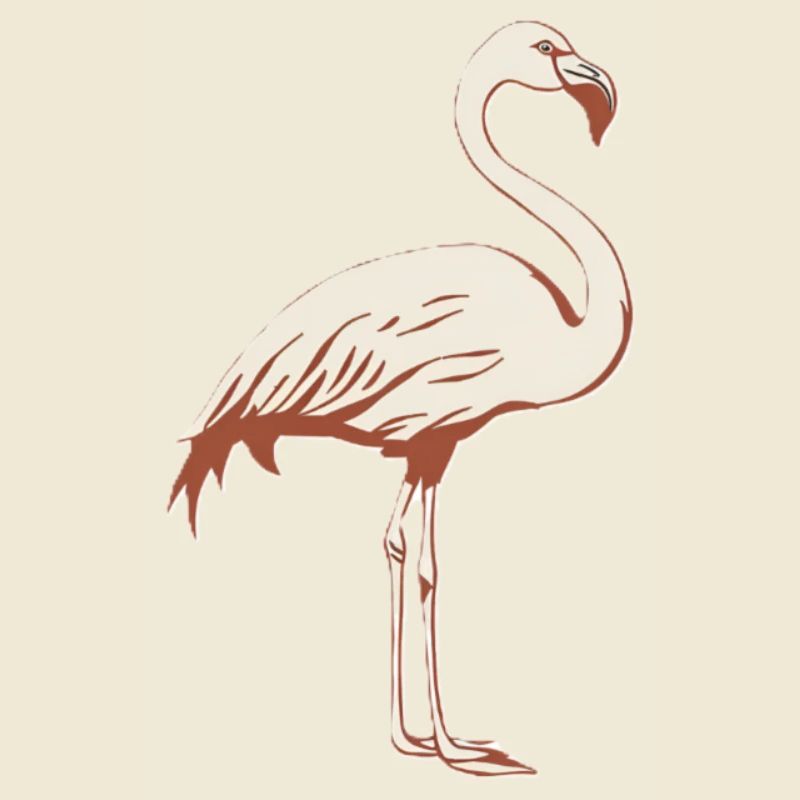 Flamingo Malerisch
