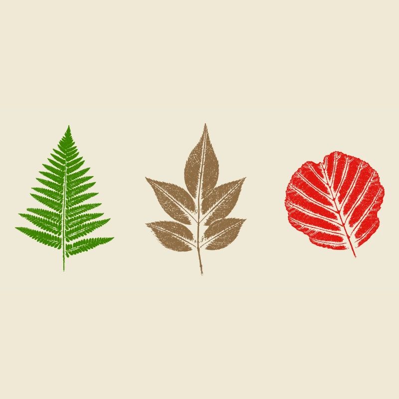 Conception des feuilles