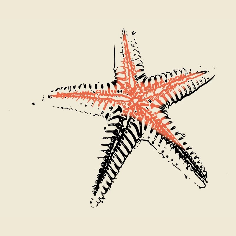 starfish