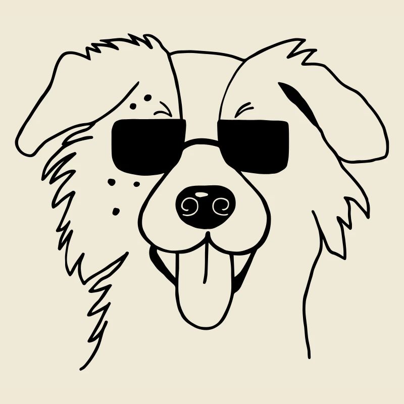Australian Shepherd Aussie Hund Haustier