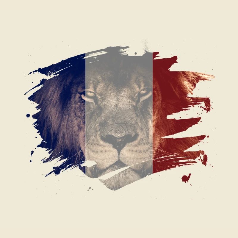 Frankreich-Flagge u. Afrikanisches Löwe-Bild