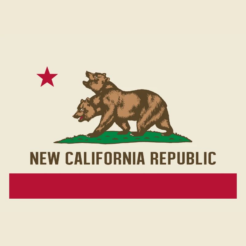 DRAPEAU NCR