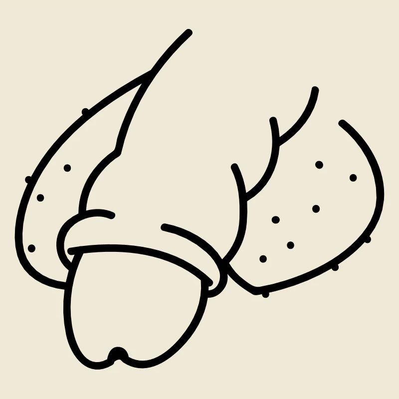 Dick