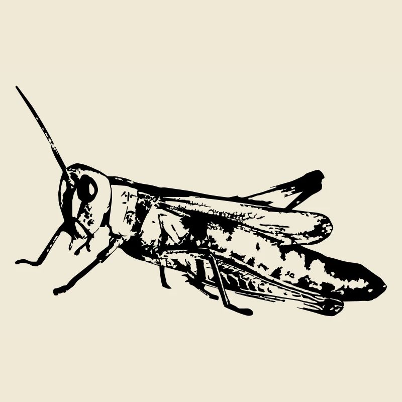 Grasshopper / Grashüpfer