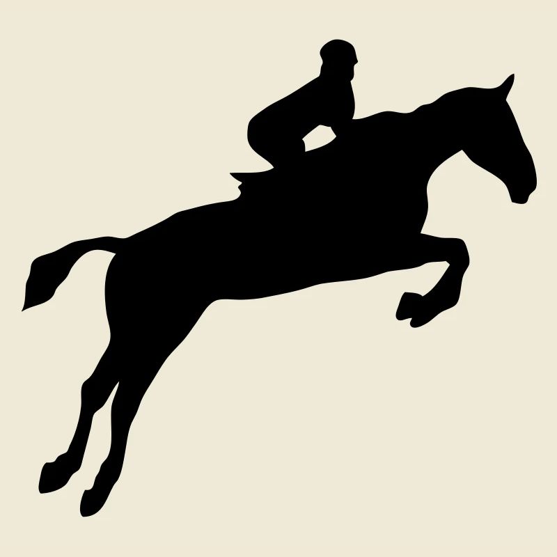 equitation cavalier obstacle cheval saut