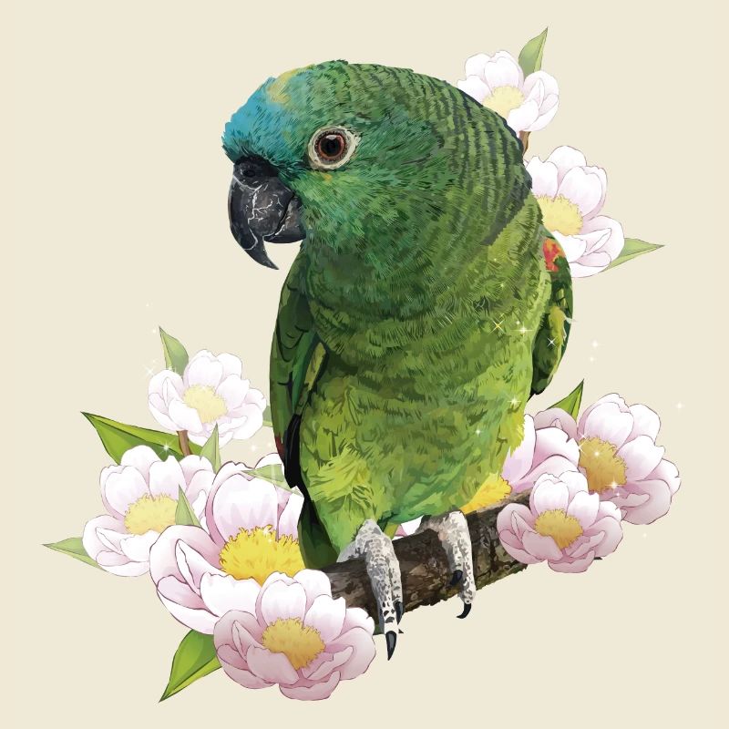 L’amazone à front bleu