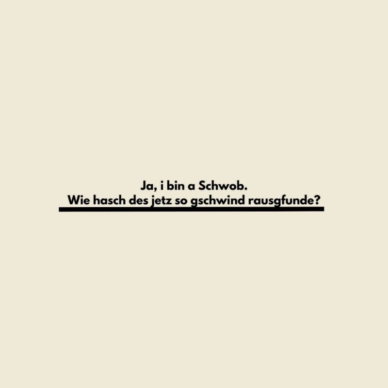 Schwabe Ländle Spätzle Stuttgart Gift Idea