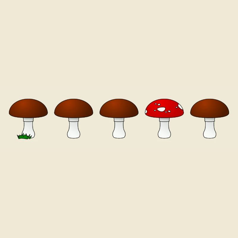 Série d'agaric de mouche de champignon