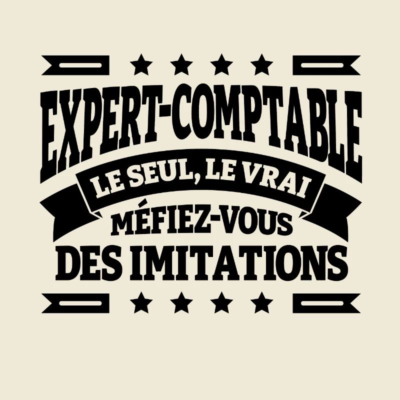 EXPERT COMPTABLE LE SEUL LE VRAI