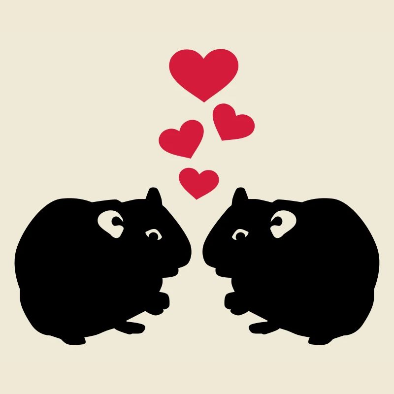 Cochon d'Inde