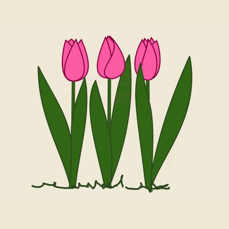 Pink tulips, spring, spring