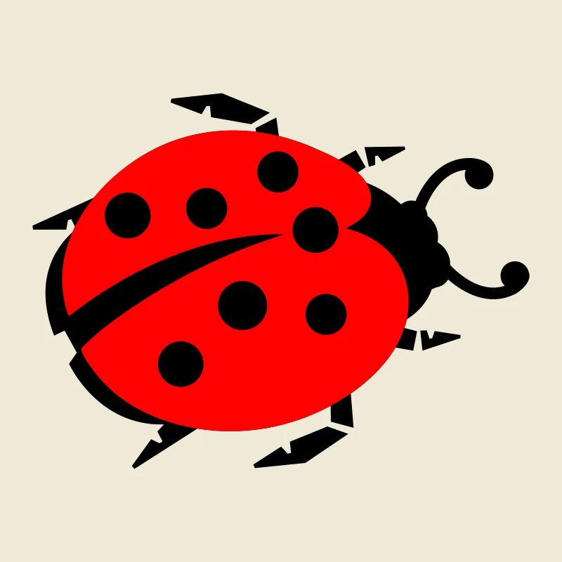 ladybug marienkaefer