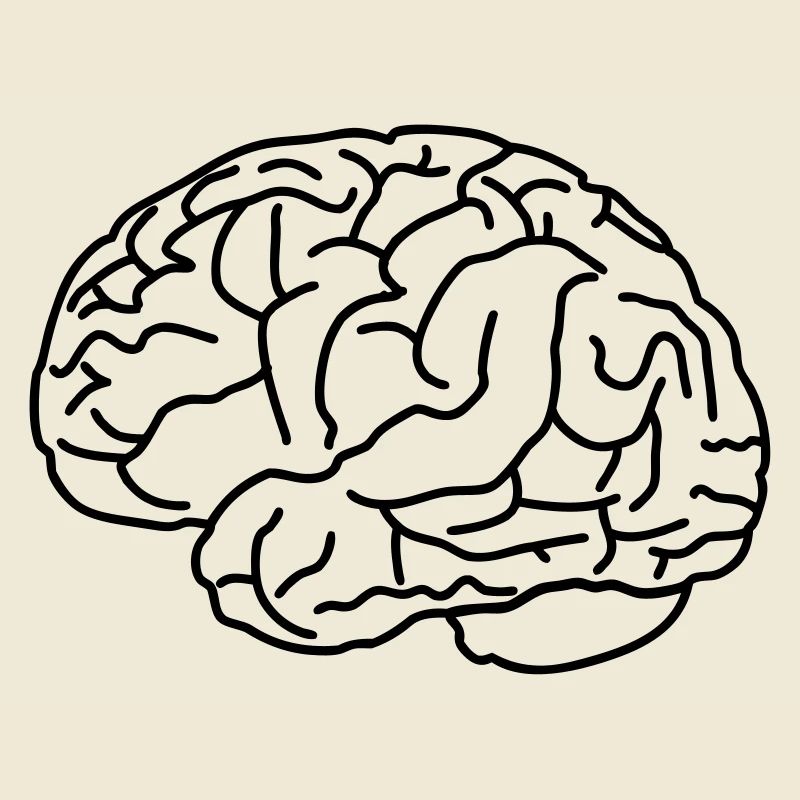 Brain
