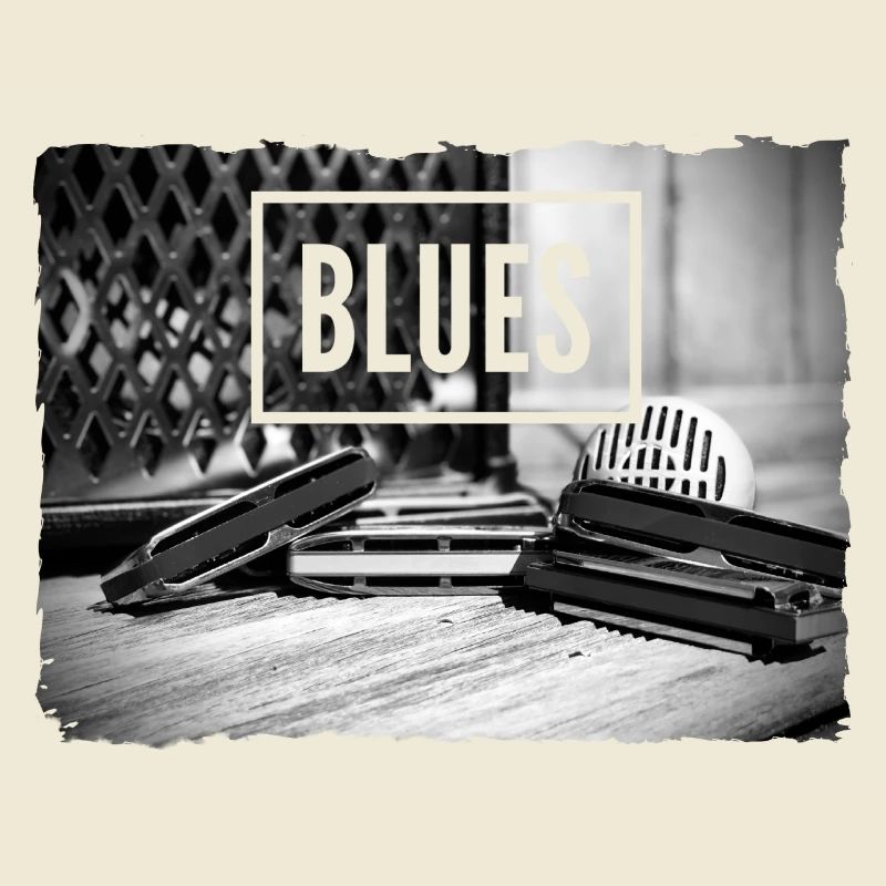 Blues harmonica for harmonica player