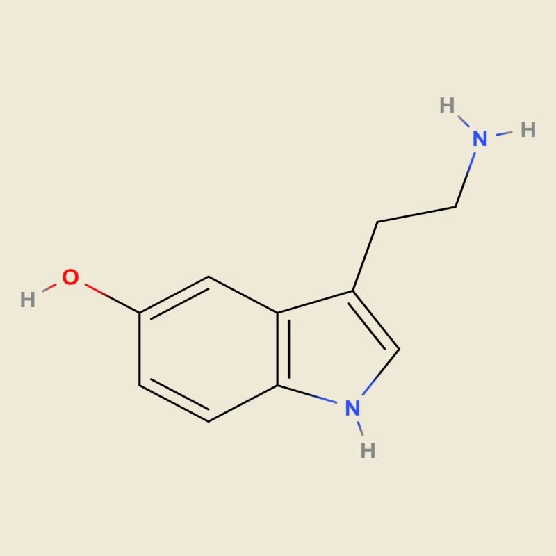 Serotonin Molecule - Colored Structural Formula