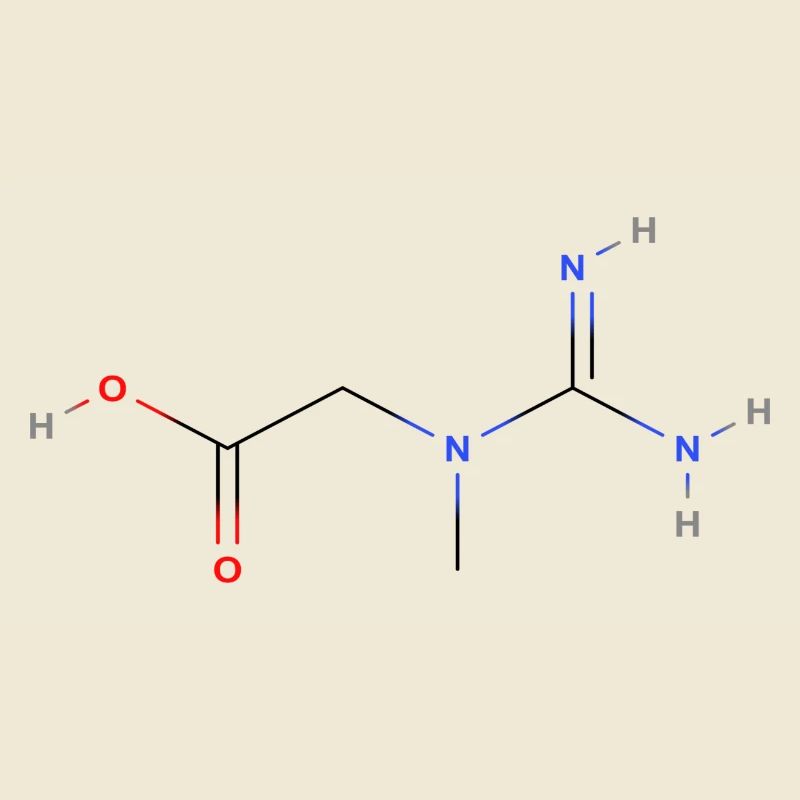 Creatine Molecule - Colored Structural Formula