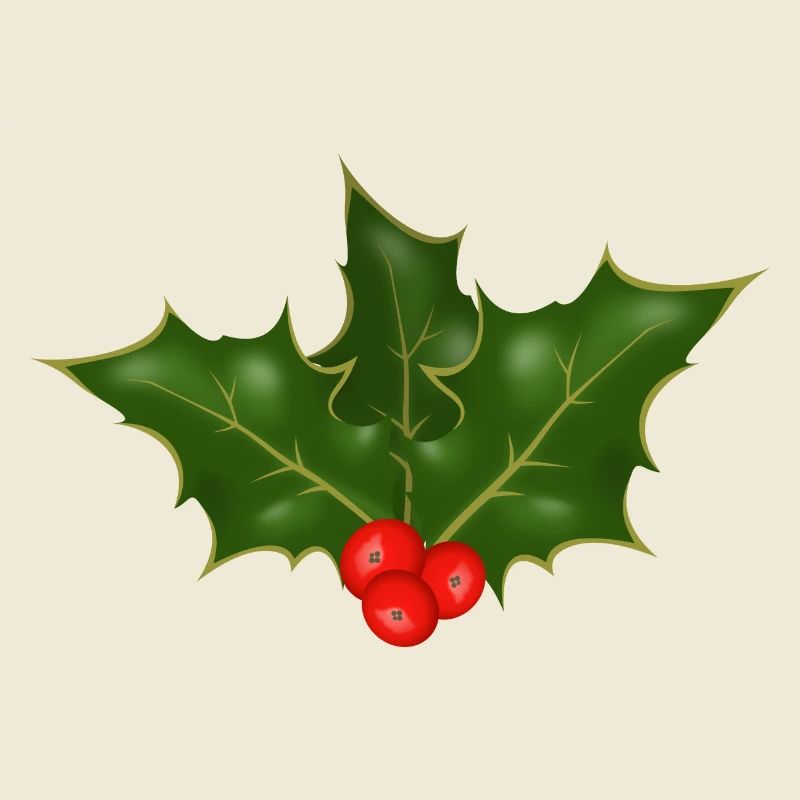 Holly