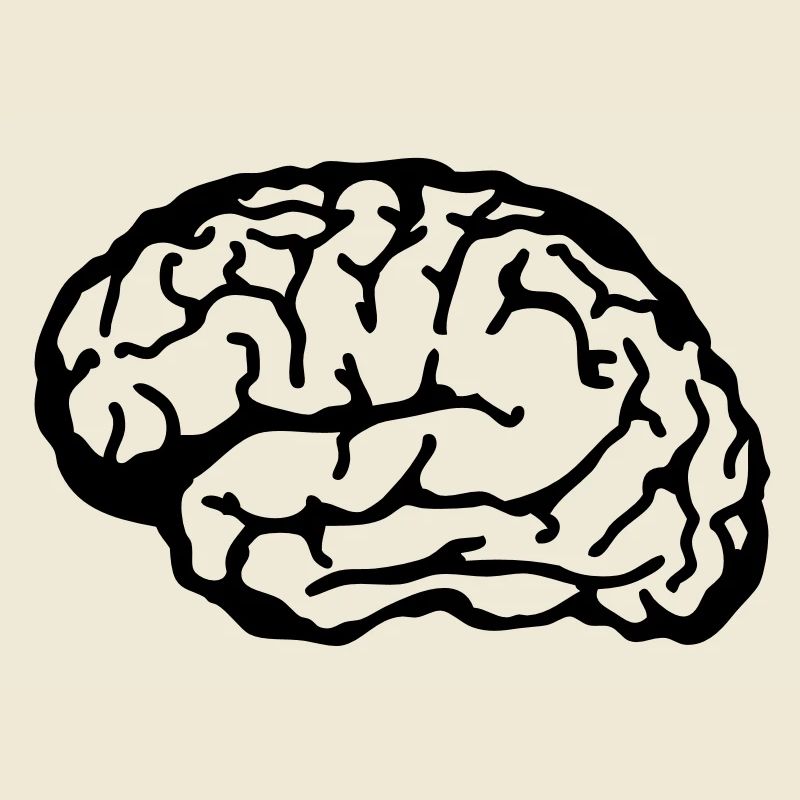 brain
